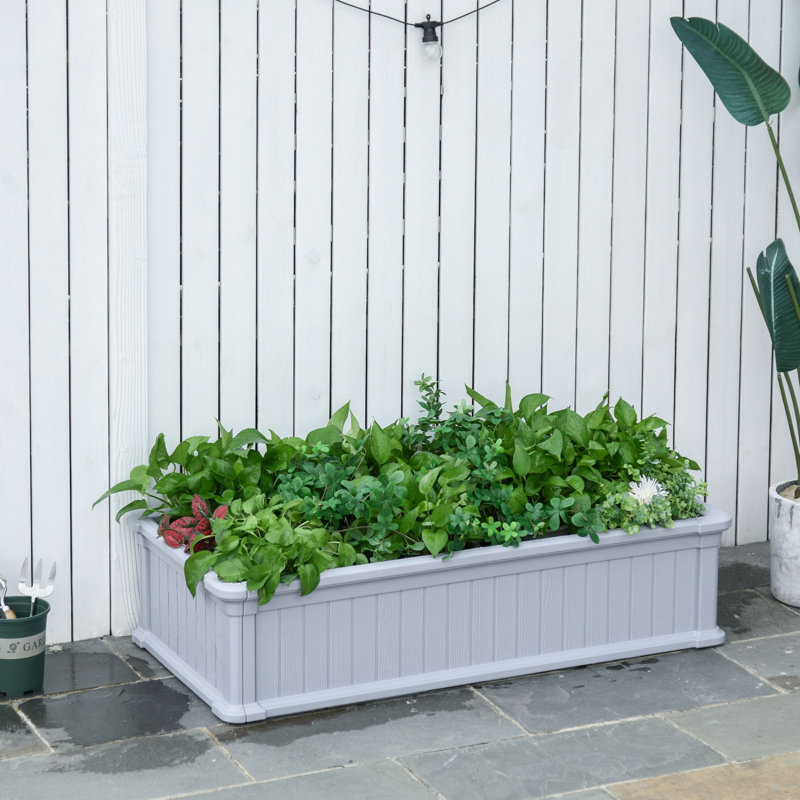 Red Barrel Studio® Evagene Plastic Planter Box & Reviews Wayfair